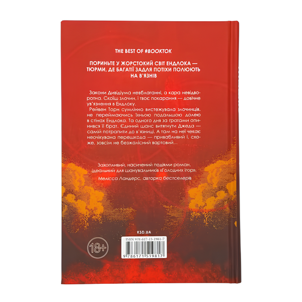 Книга : Ув'язнити дику пташку. Книга 1. Брук Фест (зі зрізом) 00-8115893 фото